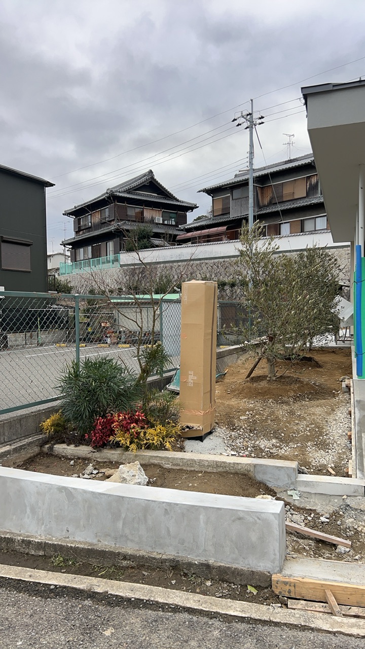 岬町宿泊施設　オリーブ植付け